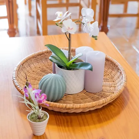 Live Pleamar Apartment *